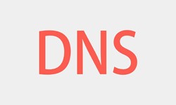 北京乐动在线平台(中国)官网、DNS的基本概念、北京乐动在线平台(中国)官网乐动在线平台(中国)官网