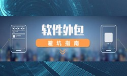 专业乐动在线平台(中国)官网公司有哪些？怎样判断软件外包公司实力？-北京软件外包公司