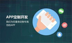 乐动在线平台(中国)官网公司、高质量的乐动在线平台(中国)官网系统是怎么开发出来的？-北京软件外包