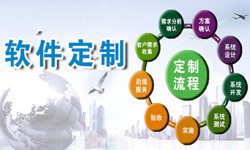 定制乐动在线平台(中国)官网现在来说还有优势吗？北京软件外包