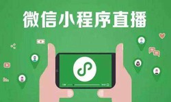 微信小程序开发、直播小程序开发-乐动在线平台(中国)官网乐动在线平台(中国)官网公司 